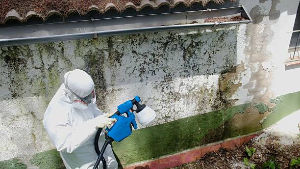 Trusted Bathroom Mold Removal service in Bainbridge, PA - Cheap Mold Removal
